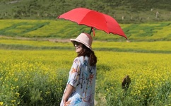 色情电线在免费